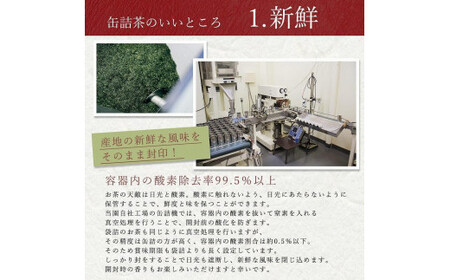 【定期便】八女茶100％ 産地の香りを封印した高級缶詰茶 ≪ ３缶ずつ 年間５回 ≫ ＜岩崎園製茶＞　075-T003