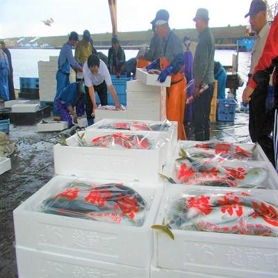 ふるさと納税 越前町 越前港直送　　朝獲れお魚詰め合わせ　　　3種類 |  | 01