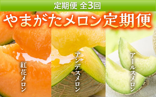 
            《2025年発送先行予約》やまがたメロン定期便(全3回) FSY-0104
          