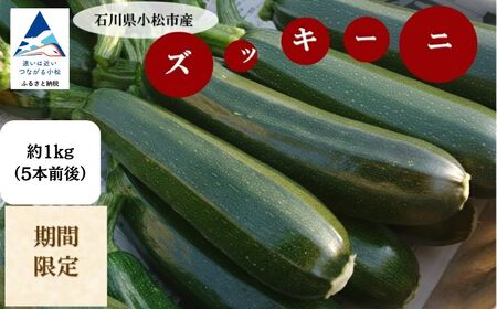 ズッキーニ 約1kg (5本前後) | 石川県 小松市 JAあぐり