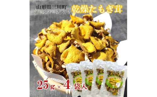 グリーンファーム小野寺の乾燥たもぎ茸　25g×4袋