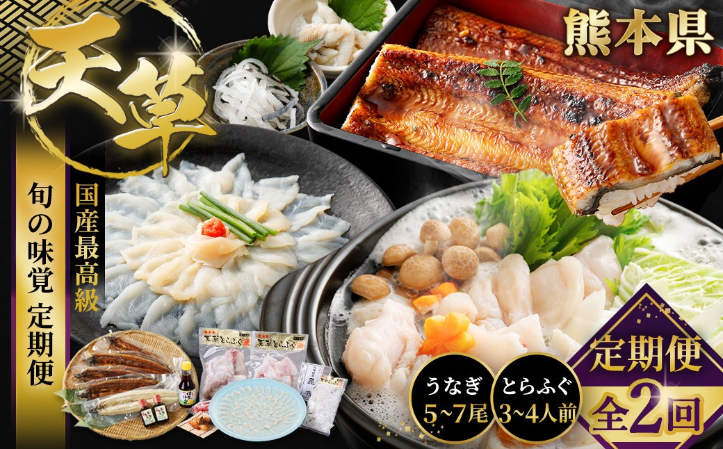 
                  【 天草旬の味覚定期便 2回 （ 3 ～ 4人前用 ） 】 天草とらふぐコース＋天草藍うなぎ紅白5～7尾セット ／ 刺身 魚 魚類 お魚 旬 フグ ふぐ とらふぐ うなぎ ウナギ 鰻 上天草 定期配送 定期 定期便 贅沢 旨味 蒲焼 蒲焼き
                