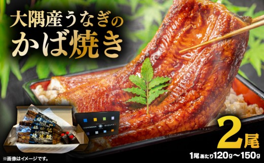 大隅産うなぎのかば焼き 2尾　KN174-001-02