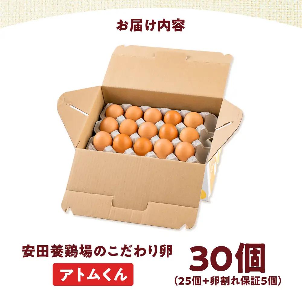 安田養鶏場のたまご アトムくん 30個入 AKHN002 たまご