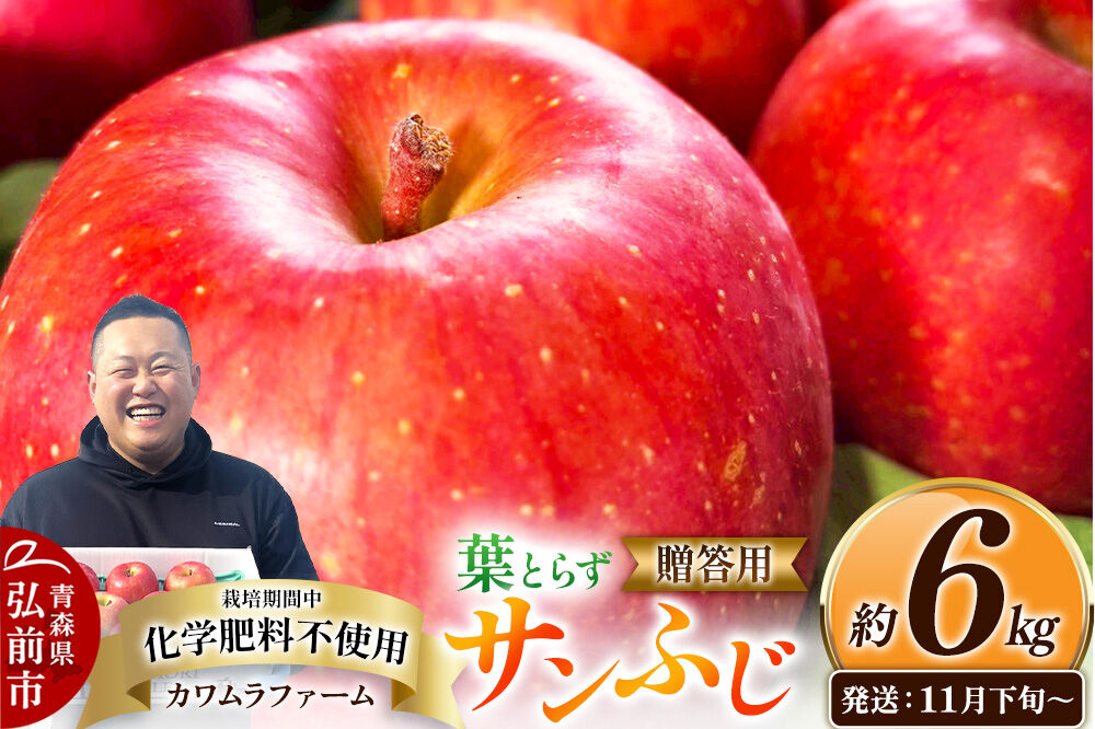 【26年11月下旬～発送】りんご 葉とらず サンふじ【贈答用】約6kg【先行受付】カワムラファーム 青森県 弘前市 果物 フルーツ 林檎 リンゴ くだもの ギフト 贈り物 [先行予約 産地直送 アップ