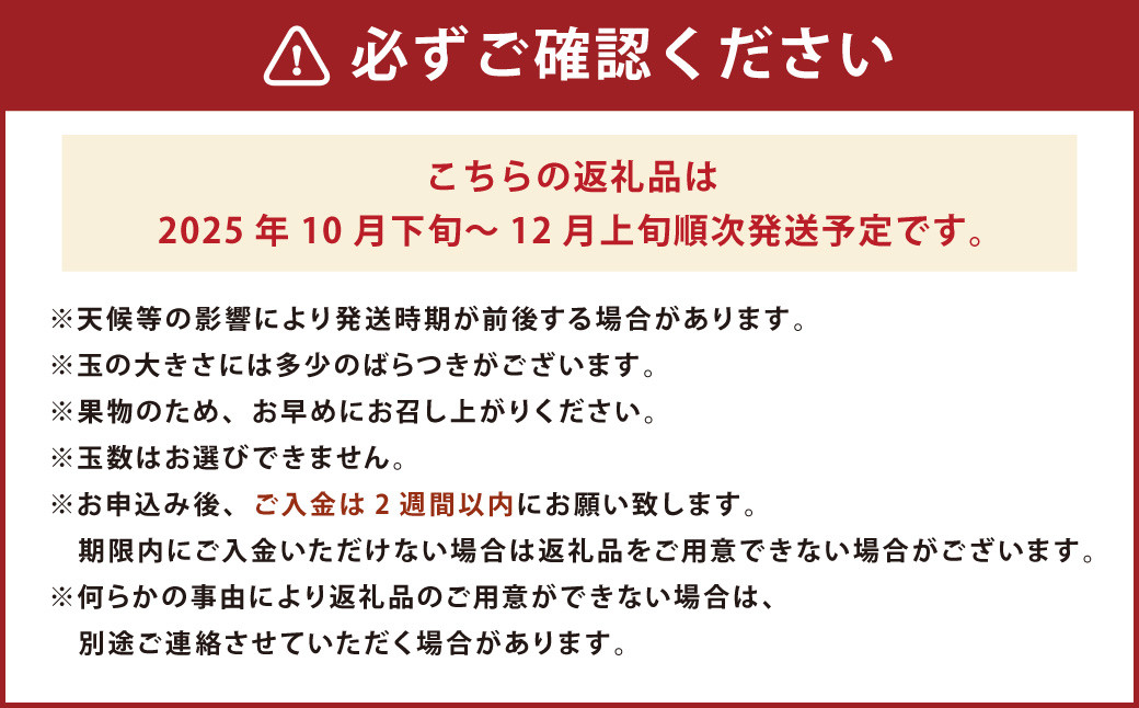 福岡県産ブランドキウイ・甘うぃ 約1.5kg （12-15玉） キウイフルーツ 