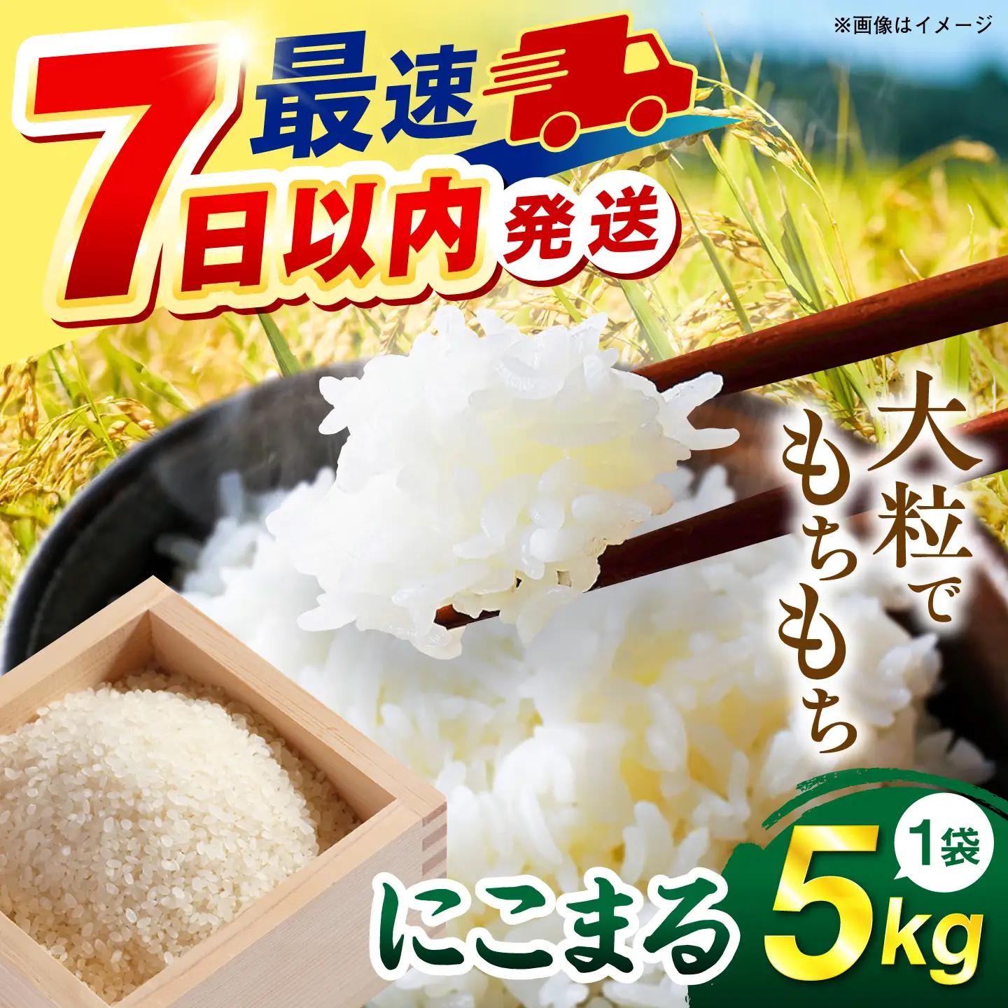 【令和7年産】にこまる  白米 5kg  [AGR001] 