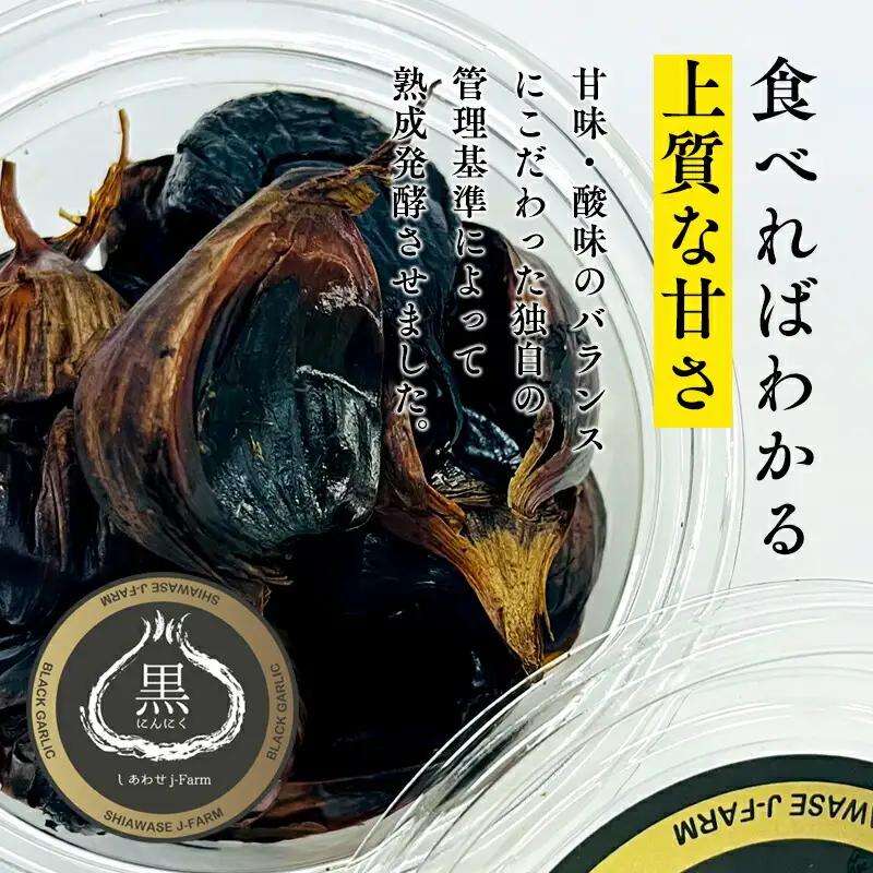 青森県産 黒にんにく 100g×4P[hi-0028-002]