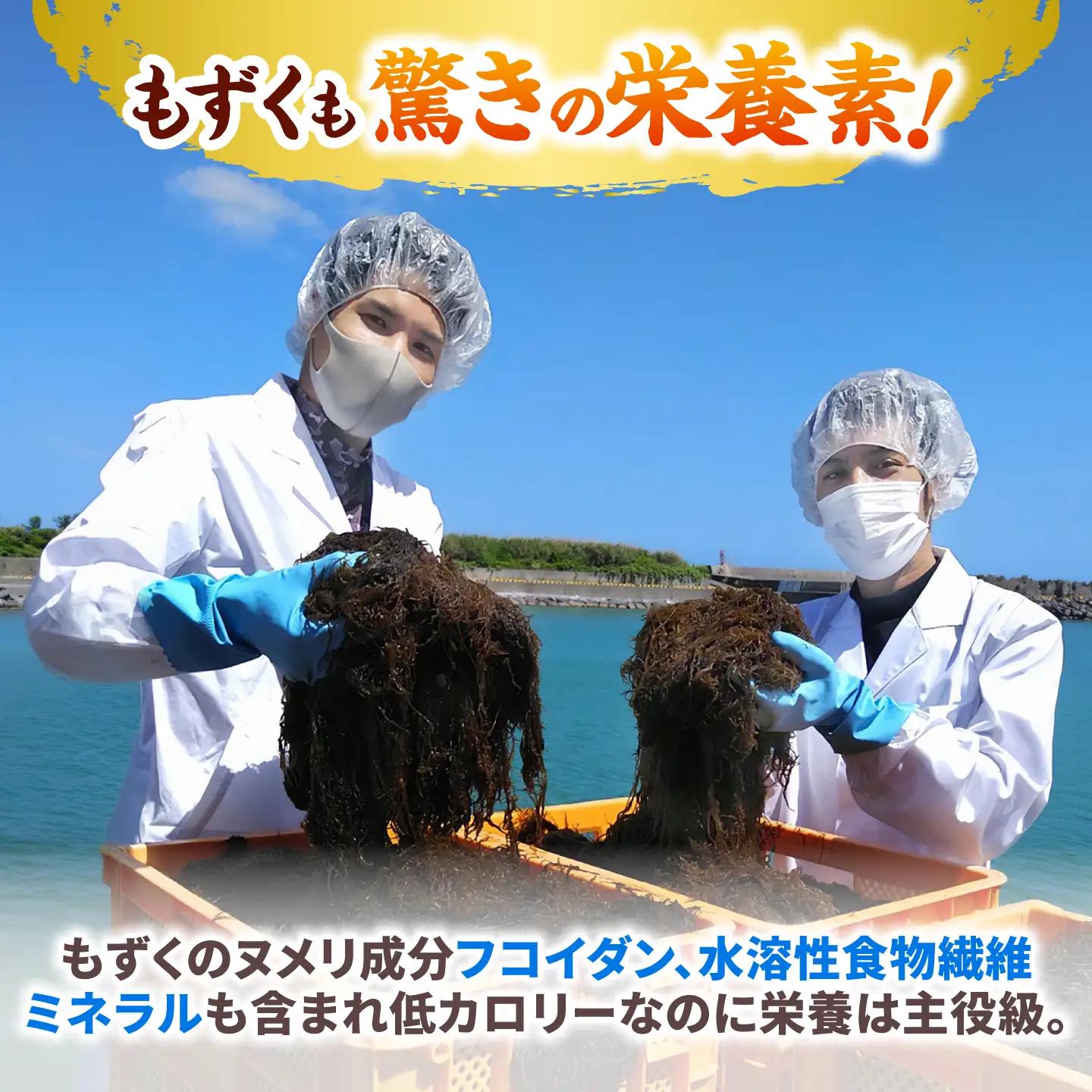 もずく あおさ 沖縄県産もずく(500g×3袋)とあおさ(25g×2袋) セット   BCDM003 海藻