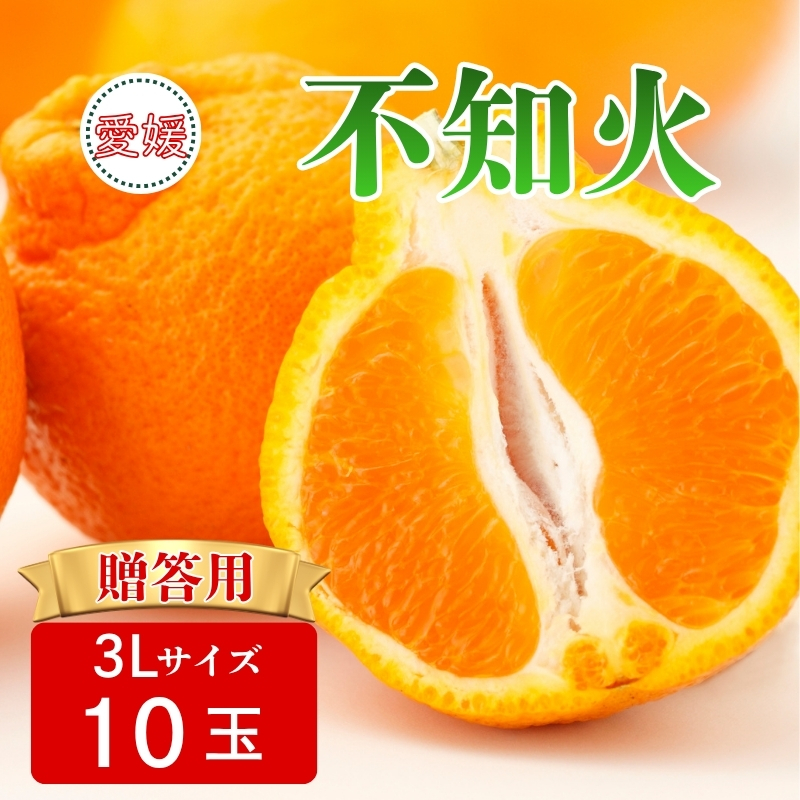 【2027年先行予約】みかん 不知火 3Lサイズ 10玉 贈答用 【2027年3月中旬順次発送予定】 数量限定 愛媛みかん ミカン 蜜柑 果物 くだもの フルーツ 柑橘 かんきつ 柑橘類 おすすめ 人気 国産 伊予市 愛媛｜B564