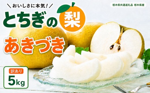 
                  梨 秋月 あきづき 訳あり 5kg | 2026年9月発送  栃木県共通返礼品 栃木県産 矢板市
                