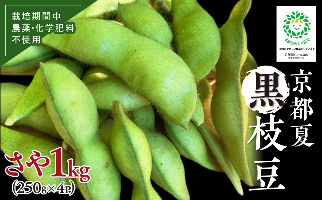 【数量限定】京都夏黒枝豆さや 1kg（250g×4パック）（2027年7月中旬～発送） 野菜 豆類 黒豆 黒枝豆 晩酌 おつまみ おかず 京都 ふるさと納税 枝豆　KU00096