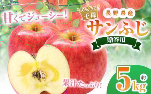贈答用 サンふじ 約5kg 【2026年先行予約】｜ 北條農園 リンゴ りんご 林檎 果物 フルーツ 果実 果汁 サンふじ サンフジ 贈答用 長野県 松川村 信州