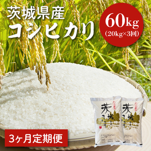 【令和6年産】【３ヵ月定期便】茨城県産コシヒカリ 20kg×3 【定期便 お米 ごはん こしひかり 老舗 米屋 おにぎり ごはん 茨城県 水戸市 60キロ】(HQ-96)