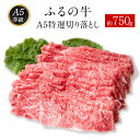 【ふるさと納税】ふるの牛（黒毛和牛）A5特選 切り落とし 750g 送料無料 A5 ミシュラン掲載《30日以内に順次出荷(土日祝除く)》