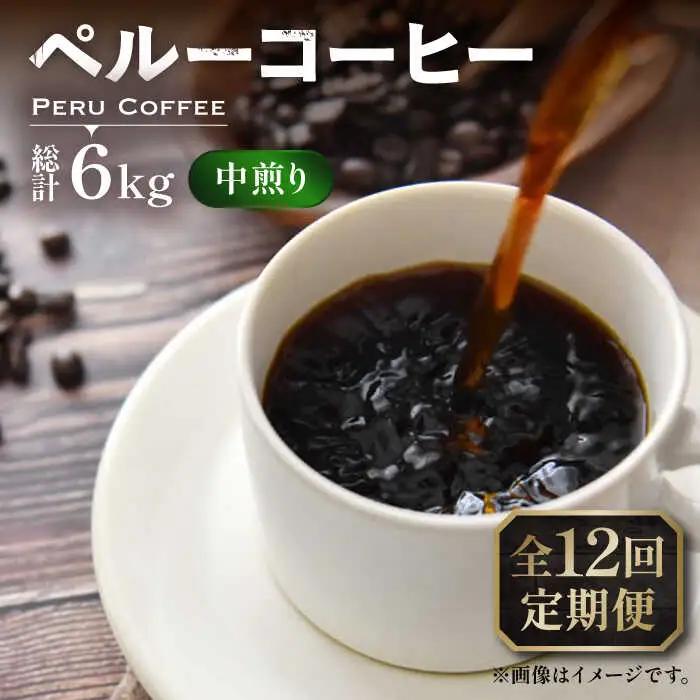 【全12回定期便】ペルー コーヒー 中煎り 250g×2 VAS211 珈琲 コーヒー 有機
