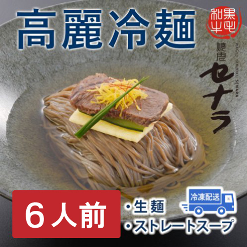 高麗冷麺セット（6人前）　【11100-1615】