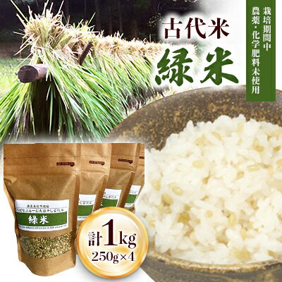 【ふるさと納税】栽培期間中農薬化学肥料不使用の古代米「緑米」250g×4【配送不可地域：離島・沖縄県】【1228131】
