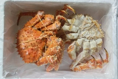 [12月21日決済分まで年内配送]【北海道根室産】本タラバガニ2尾（計1.6kg前後） D-57049