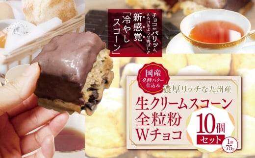 国産発酵バター香る濃厚リッチな九州産生クリームスコーン 全粒粉Wチョコ10個セット  | お菓子 菓子 おかし 洋菓子 焼き菓子 イギリス菓子 スコーン チョコ 生クリーム 生クリームスコーン 全粒粉 全粒粉チョコ 手作り おやつ デザート スイーツ ティータイム カフェスイーツ 大分県 中津市