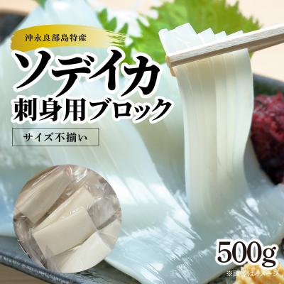 ふるさと納税 和泊町 【サイズ不揃い】ソデイカ・刺身用ブロック　500グラム/沖永良部島特産