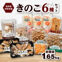 【ふるさと納税】JA中野市産地直送!6種11パック入りきのこセット【中野市特産きのこセットできのこ食を習慣に】_ きのこ キノコ セット 詰合せ 食べ比べ 長野県産 国産 えのき しめじ エリンギ 舞茸 なめこ まいたけ 産地直送 【配送不可地域：離島】【1487473】