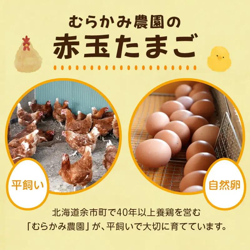 むらかみ農園の赤玉たまご30個_Y140-0001