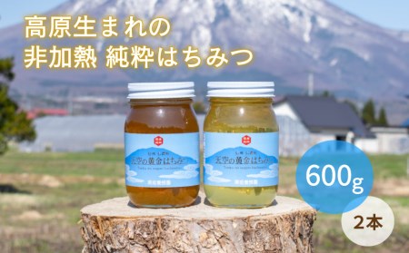 限定！天空の黄金はちみつ600g２個セット（百花蜜・アカシヤ）　非加熱　国産純粋はちみつ