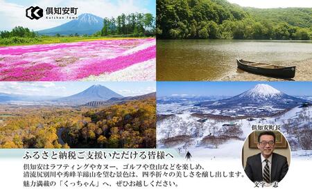 【グリーンシーズン】北海道 トリフィート ホテル ポッドニセコ ペア 宿泊券 朝食付 宿泊 夏季 旅行 観光 リゾート チケット ニセコ アウトドア アクティビティ 送料無料 ペア宿泊券 朝食付き 