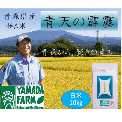 ふるさと納税 青森市 【さつき米】青森県産米「青天の霹靂」白米 10kg