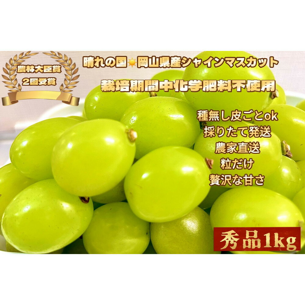 【ふるさと納税】【内容量が選べる】ぶどう2026年 シャインマスカット 秀品 粒だけ 約1kg～約3kg | フルーツ 果物 くだもの シャインマスカット マスカット 岡山県産