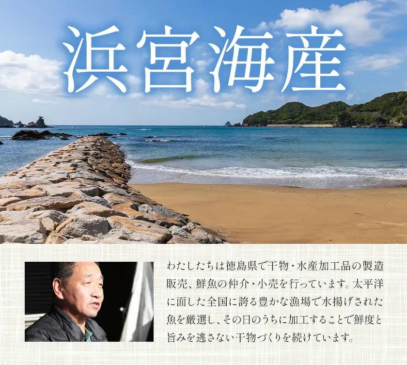はまみや海産 美波 の 特選 干物セット 大セット 干物