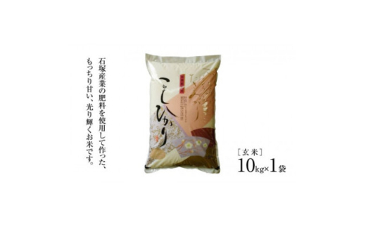 かすみがうら市産コシヒカリ 玄米 10kg【1630961】
