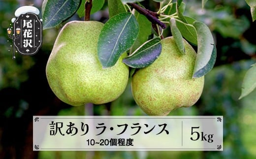 
                  先行予約 訳あり ラ・フランス 約5kg (10~20個程度) 無印品 11月上旬~下旬頃発送 山形県産 フルーツ 果物 くだもの  佐竹物産 sb-laxxw5
                