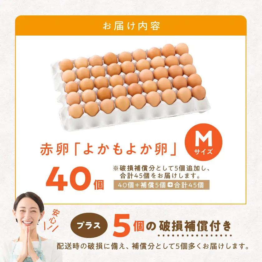 よかもよか卵40個〔11-29-010-40〕_(都城市) 赤卵Mサイズ 破損補償(5個追加) 生卵 鶏卵 玉子 タマゴ たまご 新鮮 濃厚 宮崎県産 家庭用 卵かけご飯 シフォンケーキ たまご焼き 