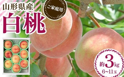 
            FYN6-073 ≪2025年先行予約≫ ご家庭用 山形県産 品種おまかせ 白桃 約3kg（6～11玉） 2025年8月中旬から順次発送 柔らかくなる桃 はくとう 桃 もも モモ 果物 くだもの 夏果実 フルーツ 訳あり 農業者支援 家庭用 自宅用 産地直送 山形県 西川町 月山
          