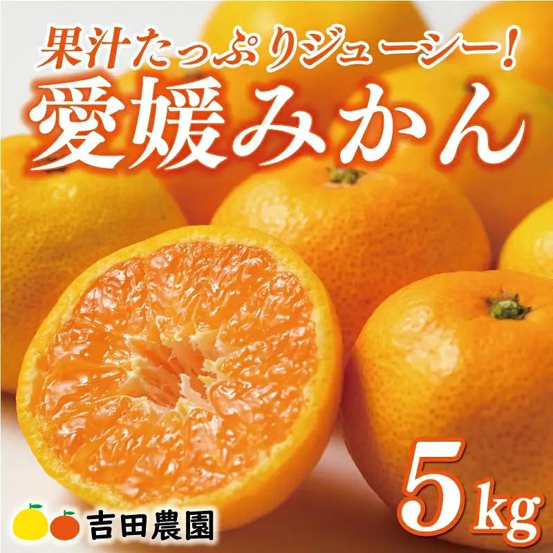 【愛媛みかん】 訳あり 3kg みかん