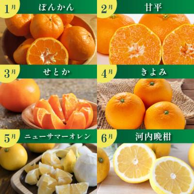 ふるさと納税 八幡浜市 【発送月固定定期便】みかんのある暮らし全12回【H31-33】 |  | 01