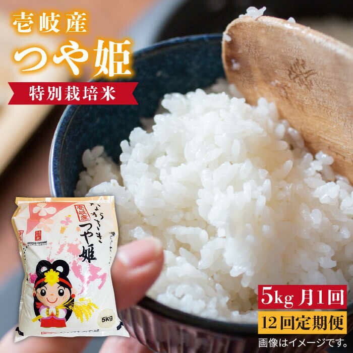 【ふるさと納税】【先行予約】【全12回定期便】壱岐産 つや姫 5kg【2025年10月中旬以降順次発送】《壱岐市》【壱岐市農業協同組合】 [JBO058] 米 お米 白米 ご飯 ごはん 5キロ お弁当 朝食 定期便 204000 204000円