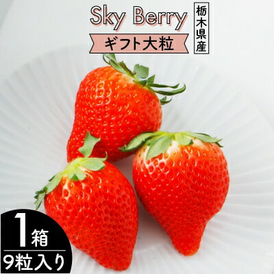 【ふるさと納税】Sky Berryギフト大粒 9粒入り×1箱【配送不可地域：離島・北海道・沖縄県・信越、北陸・東海・近畿・中国・四国・九州】【1090969】
