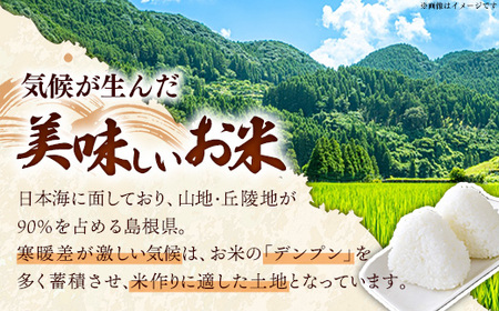 比田米 特別栽培コシヒカリ(精米)3kg【令和7年産 米 お米 こしひかり ごはん ご飯 有機肥料 国産】