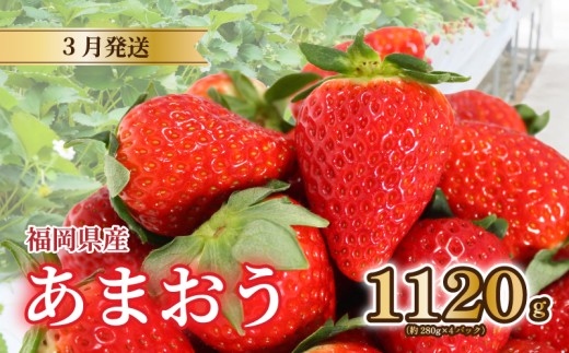 【2026年3月発送】 苺 あまおう 1120g (280g×4) いちご あまおう 福岡県産苺 いちご あまおう イチゴ 苺 あまおう 苺 数量限定 苺 いちご あまおう 福岡県産 苺 いちご あま