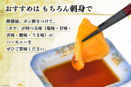 黄金のさしみ ほや 300g×3 [村田水産 宮城県 気仙沼市 20562617] ホヤ 冷凍 魚介類 魚介 刺身