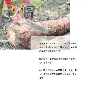 薪 乾燥薪 広葉樹ミックス 約12kg｜高知県産 薪ストーブ用 焚き火用 火持ち抜群 国産