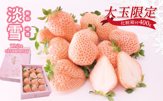 熊本玉名 白いちご 「 淡雪 」 ( 大玉限定 400g ) 《 化粧箱付 》 | フルーツ 果物 くだもの いちご イチゴ 苺 白苺 あわゆき 熊本県 玉名市