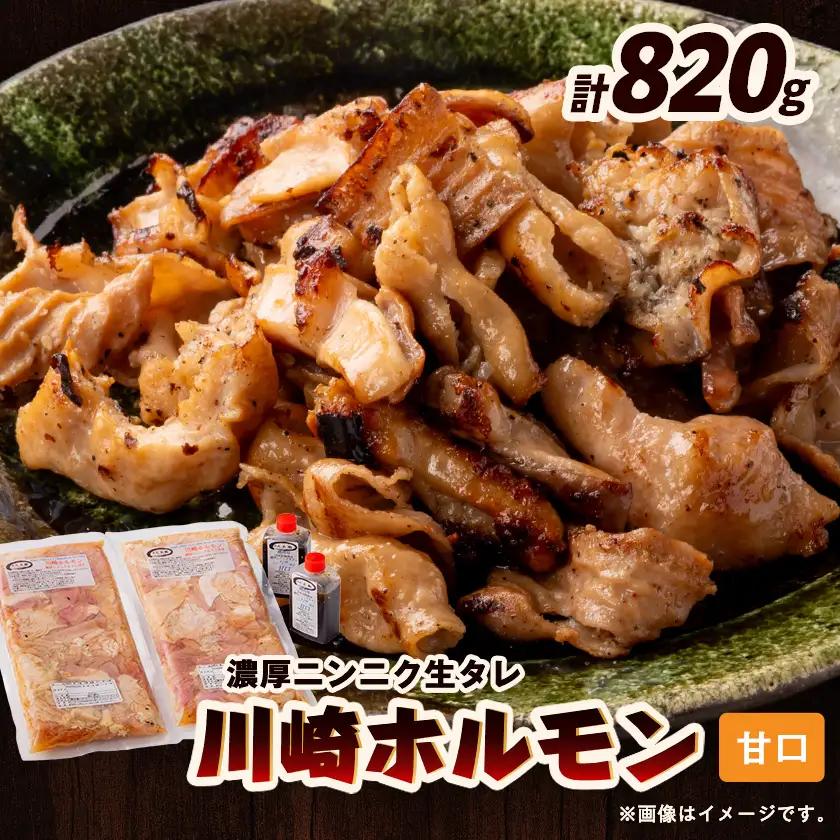 川崎ホルモン 計820g(2～3人前410g×2袋)(濃厚ニンニク生タレ『甘口』付き)【配送不可地域：離島】【1737181】