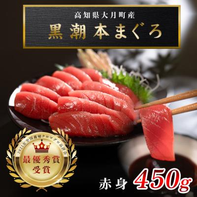 ふるさと納税 大月町 【高知県産 養殖本マグロ】赤身 450g 黒潮本まぐろ 刺身用 小分け柵 急速冷凍 最優秀賞受賞