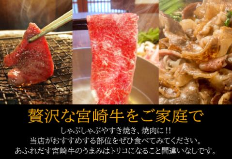 定期便 宮崎牛だけのしゃぶすき&焼肉 6ヶ月 コース |牛肉 牛 肉 クラシタスライス リブロース焼肉 モモスライス ウデスライス ウデ焼き肉 バラやき肉 リブローススライス サーロイン焼肉