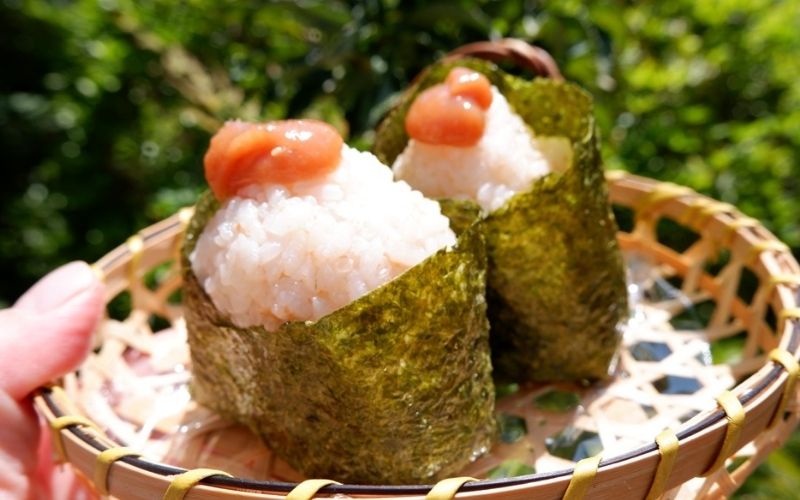 白干しねり梅 180g×3 塩分20％ 添加物不使用 / 梅 うめ ウメ 梅干し 梅干 白干し 南高梅 紀州南高梅 和歌山県 田辺市 【aoi020】 