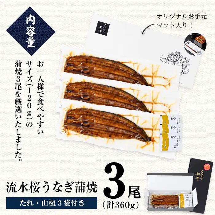 柳澤 流水桜 うなぎ 蒲焼き 計3尾＜計360g＞ a4-096